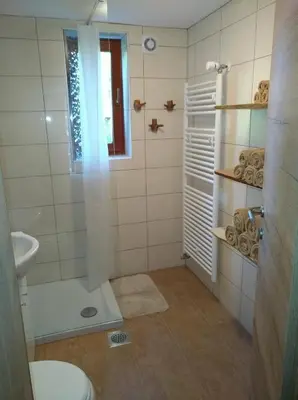 a bathroom with a shower and a toilet and a sink at Apartma Miko in Bovec
