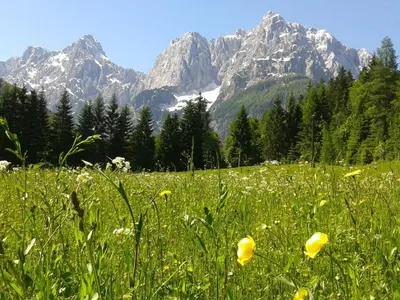 a field of grass with mountains in the background at House Neza in Kranjska Gora
