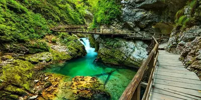 a bridge over a river in a canyon at Apartment TiSa, Bled in Bled