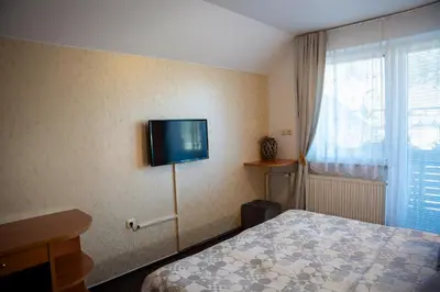 a bedroom with a bed and a flat screen tv on the wall at B&B Brezov Gaj in Kranjska Gora