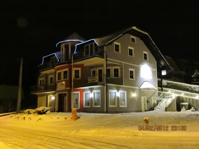 a building with birds standing in the snow at night at Črni Baron Pension Black Baron in Maribor
