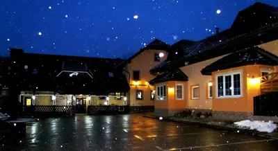 a rainy parking lot in front of houses at night at Črni Baron Pension Black Baron in Maribor