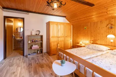 a bedroom with a large bed and a bathroom at Apartment and room Mateja Kovačič in Bohinj