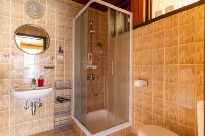 a bathroom with a shower and a sink at Apartment and room Mateja Kovačič in Bohinj