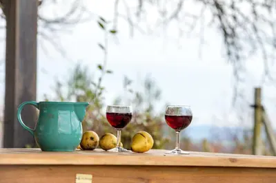 two glasses of red wine and some lemons on a table at Vineyard Living in Filovci