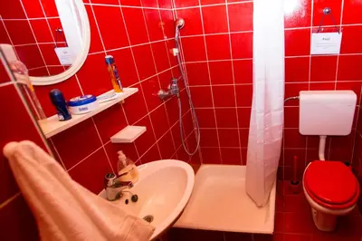 a red bathroom with a sink and a toilet at Vineyard Living in Filovci