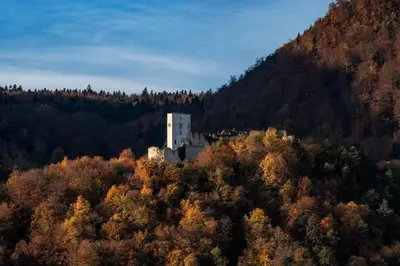 a castle on top of a hill with trees at Dvorec Trebnik - SOBE in Slovenske Konjice