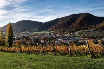 a vineyard in a valley with a town and mountains at Dvorec Trebnik - SOBE in Slovenske Konjice