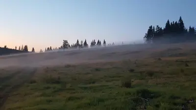 a foggy field with trees on the horizon at Rogla app Jerebika 11 in Zreče