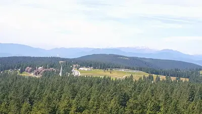 a view of a forest with mountains in the background at Rogla app Jerebika 11 in Zreče
