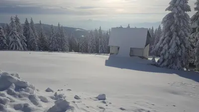 a white building in the snow with trees at Rogla app Jerebika 11 in Zreče