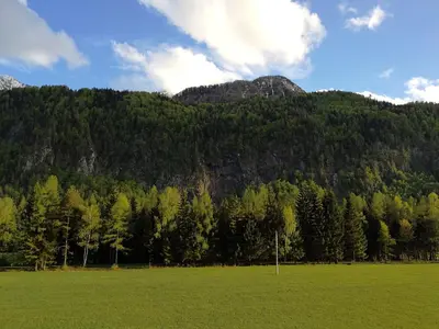 a field with trees and a mountain in the background at Apartmaji Lajf in Kranjska Gora