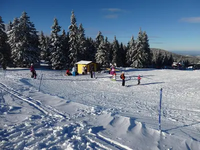 a group of people on a ski slope in the snow at Apartma Gaber 80 in Zreče