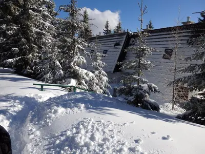 a pile of snow in front of trees and a building at Apartma Gaber 80 in Zreče