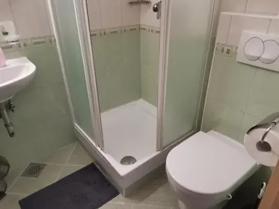 a bathroom with a shower and a toilet and a sink at Apartma Gaber 80 in Zreče