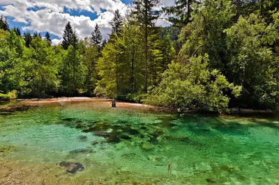 a person standing in the water in a river at PRIVILLAGE Stare - B&B in Bohinj
