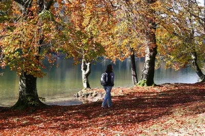a person with a backpack standing on a path near a lake at PRIVILLAGE Stare - B&B in Bohinj
