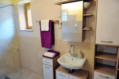 a small bathroom with a sink and a shower at apartma Marjetica in Blejska Dobrava