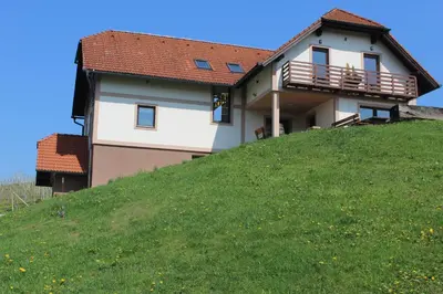a house on top of a grassy hill at Vdovič Guest House in Svečina