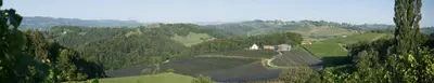 a view of a hill with a house on it at Vdovič Guest House in Svečina