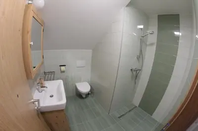 a bathroom with a shower and a toilet and a sink at Vdovič Guest House in Svečina