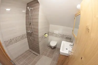 a bathroom with a shower and a toilet and a sink at Vdovič Guest House in Svečina