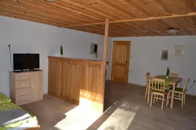 a living room with a bed and a table and a television at Apartma & savna Slapnik in Luče
