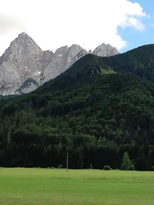 a green field with mountains in the background at Nigritella in Kranjska Gora