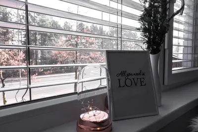 a window sill with a picture and a candle and a sign at MS Sparrow Hostel in Ljubljana
