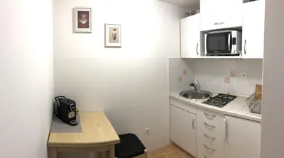 a small kitchen with a sink and a microwave at Luxury Studio Apartments in Ljubljana