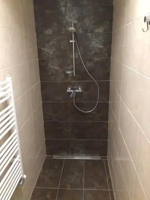 a bathroom with a shower with a hose at Apartma City & Free Parking in Ljubljana