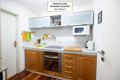 a small kitchen with a sink and a microwave at Mateja House - Apartments in Žirovnica in Rodine