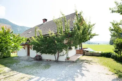 a small white house with a tree in the yard at Mateja House - Apartments in Žirovnica in Rodine