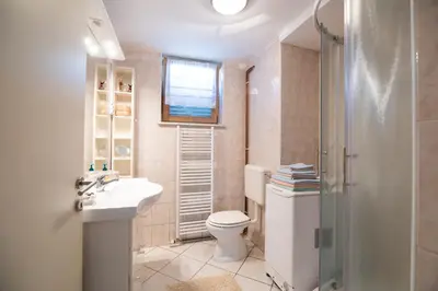 a bathroom with a toilet and a sink and a shower at Mateja House - Apartments in Žirovnica in Rodine