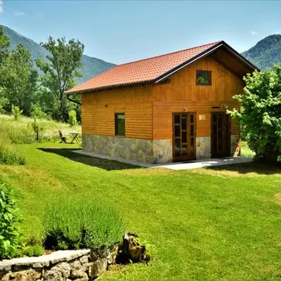Sleeping with the bees Kozjak