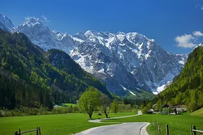 a road in a field with mountains in the background at ETNO HOUSE GOSTECE- Suite with Finnish sauna in Mozirje