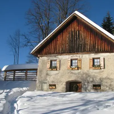 ETNO HOUSE GOSTECE- Suite with Finnish sauna