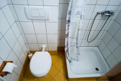 a bathroom with a toilet and a bath tub at Apartments Lavric in Nova Vas