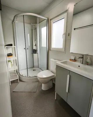 a bathroom with a shower and a toilet and a sink at Rooms & Apartments Jana in Cerklje na Gorenjskem