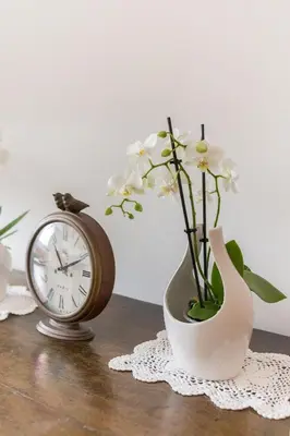 a vase with flowers in it next to a clock at Mountain Charm in Kranjska Gora