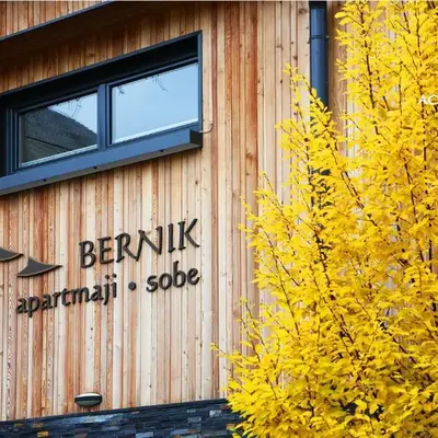 Apartments and Rooms Bernik