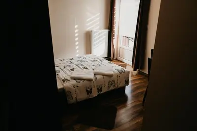 a bedroom with a bed in a room with a window at Apartments-rooms Vogrinec in Ptuj