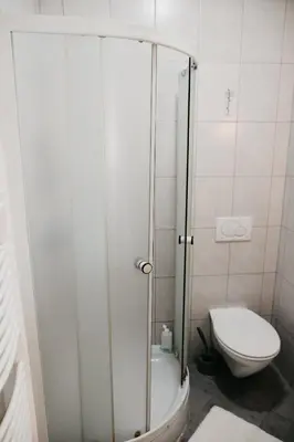 a bathroom with a shower and a toilet at Apartments-rooms Vogrinec in Ptuj