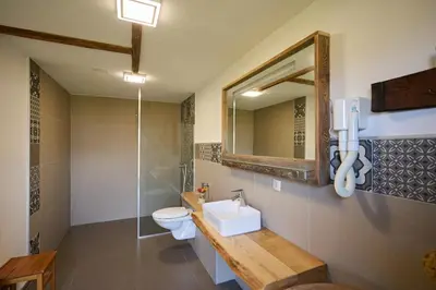 a bathroom with a toilet and a sink and a mirror at Tourist Farm Firbas in Cerkvenjak