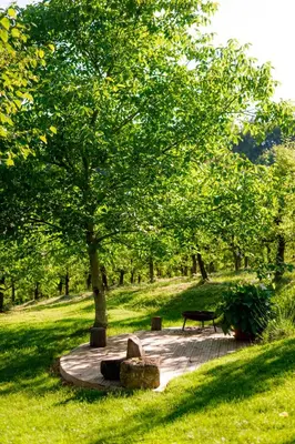 a park with a bench and a tree at Tourist Farm Firbas in Cerkvenjak