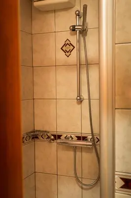 a shower with a hose in a bathroom at Hotel Krona Domžale in Domžale