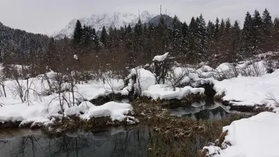 a snow covered field with a river and trees at Apartment Crystal Rose in Kranjska Gora