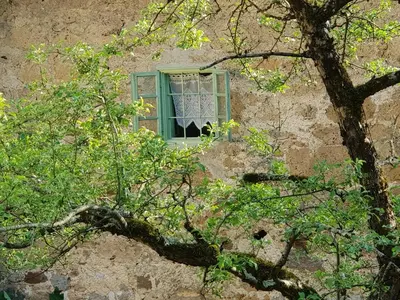 a window in the side of a building with a tree at Vintage House Podliparska in Fara