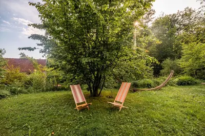 two chairs sitting in the grass next to a tree at Vintage House Podliparska in Fara