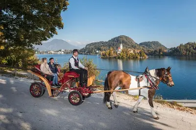 a group of people riding in a horse drawn carriage at Tourist house Capricorn in Bled
